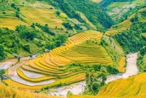 Hanoi: 3-dages Sapa-eventyr – Lao Chai, Cat Cat og Fansipan-bjergtoppen
