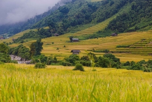 Hanoi: Excursión de 3 días a Sapa con el Pico Fansipan, Moana y comidas