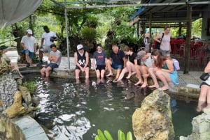 Hanói: 3 dias: Baía de Lan Ha: cruzeiros clássicos e viagem a Ninh Binh