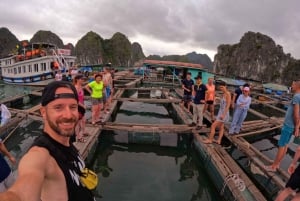 Hanoi: 3 dager: Lan Ha-bukten: klassisk cruise og Ninh Binh-tur