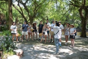 Hanoi: 3 días: Bahía de Lan Ha: cruceros clásicos y viaje a Ninh Binh