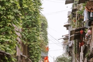 Hanoï : croisière de 4 jours dans la baie d'Halong et visite citadine