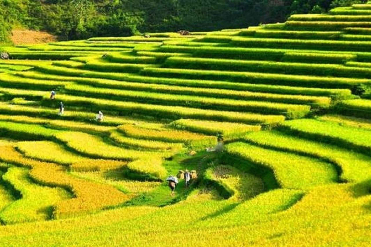 Hanoi: 4-day tour Immersion in the heart of the villages of northern Vietnam