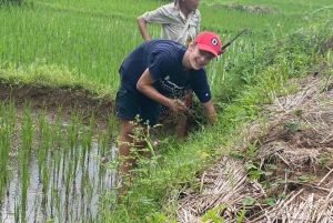 Hanoi: tour di 4 giorni Immersione nel cuore dei villaggi del Vietnam settentrionale