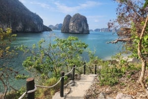 6 tähden Cycad-risteily Bai Tu Long Baylla, 2 päivää, amme, parveke