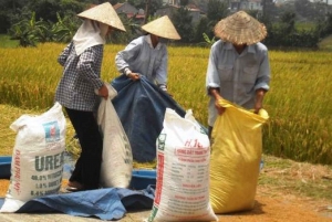 Hanoi: 8-Hour Countryside Tour to Duong Lam Village