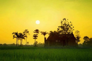 Hanoi: 8-Hour Countryside Tour to Duong Lam Village