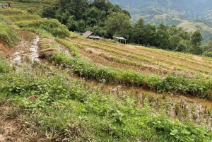 Hanoi Airport: Transfer to or from Sapa by a VIP Sleeper Bus