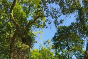 Hanói: excursão privada de 2 dias ao Pico Ba Vì e ao Vale Mai Châu