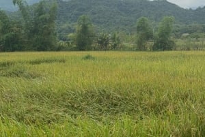 Hanói: excursão privada de 2 dias ao Pico Ba Vì e ao Vale Mai Châu