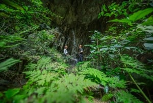 Hanoi Bai Dinh-pagoden, Nhat Tru-pagoden eller Trang An, Mua-grotten