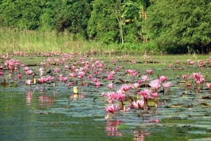 Hanoi Bai Dinh-pagoden, Nhat Tru-pagoden eller Trang An, Mua-grotten