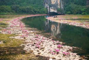 Hanoi Bai Dinh-pagoden, Nhat Tru-pagoden eller Trang An, Mua-grotten