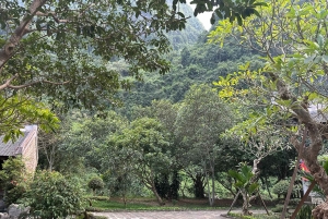 Hanói: la pagoda de Bai Dinh, Trang An, Hoa Lu y la cueva Mua