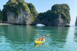 Hanoi: Cat Ba Island & Lan Ha Bay Tagestour Kreuzfahrt mit Mittagessen