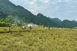 Hanoi: Cat Ba Island & Lan Ha Bay Tagestour Kreuzfahrt mit Mittagessen