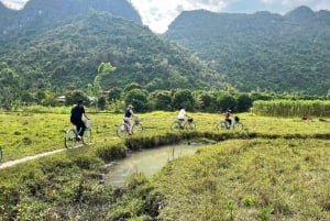 Hanoi: Cat Ba Island & Lan Ha Bay Tagestour Kreuzfahrt mit Mittagessen