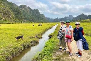 Hanoi: escursione di un giorno all'isola di Cat Ba e alla baia di Lan Ha con pranzo
