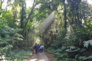 Hanoi: Cat Ba National Park Adventure Day Tour