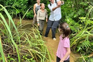 Hanoi: Cat Ba National Park Adventure Day Tour