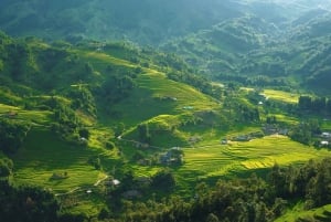 Hanoi: Sapa Cat Cat Village Trek, Fansipan Cable Car Tour