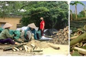 Hanoi: Chang Son Village Vifte- eller hattelaging, røkelseslandsby