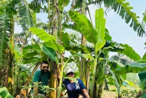 ハノイ市内と田舎のツアー 4.5 時間