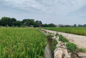 Cykeltur på landsbygden i Hanoi