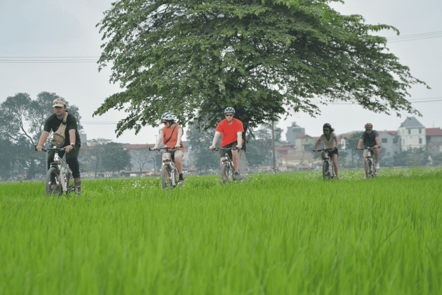 Wycieczka rowerowa po okolicy Hanoi: Kultura i życie codzienne nad Czerwoną Rzeką