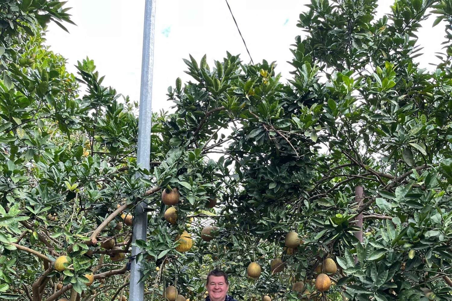 Hanoin maaseutumatka Co Loan linnoitukseen jeepillä (uusi aktiviteetti)