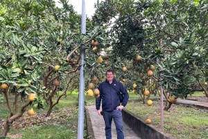 Hanoin maaseutumatka Co Loan linnoitukseen jeepillä (uusi aktiviteetti)