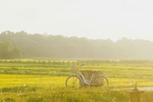 Hanoi: Cu Da Ancient Village Soy Sauce & Thang Nghiem Pagoda
