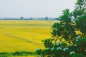 Hanoi: Cu Da Ancient Village Soy Sauce & Thang Nghiem Pagoda