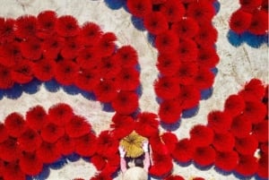 Hanoi: Cu Da-sojasausdorp of hoed- en wierookdorp