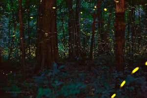 Hanoi: Cuc Phuong National Park & Van Long 2-daagse tour