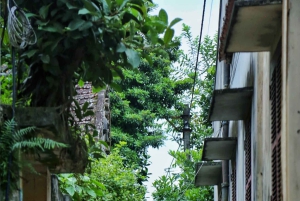 Hanoi: Cuu Ancient Village, Incense Village and Dau Pagoda