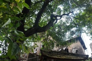 Hanoi: Cuu Ancient Village, Incense Village and Dau Pagoda