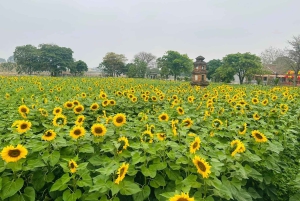 Hanoi: Cuu Ancient Village, Incense Village and Dau Pagoda