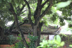 Hanoi: Cuu Ancient Village, Incense Village and Dau Pagoda