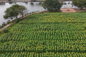 Hanoi: Cuu Ancient Village, Incense Village and Dau Pagoda