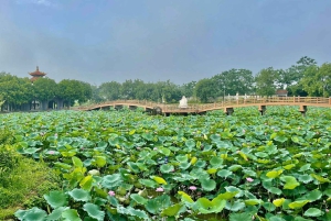 Hanoi: Cuu Ancient Village, Incense Village and Dau Pagoda