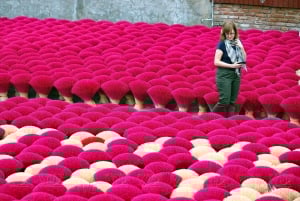 Hanoi: Cuu Ancient Village, Incense Village and Dau Pagoda