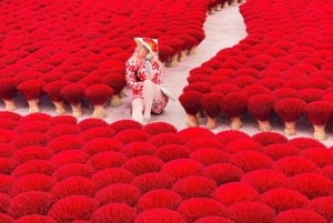 Hanoi: Cuu Ancient Village, Incense Village and Dau Pagoda