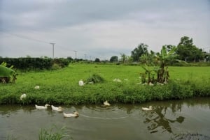 Hanoi: Cuu Ancient Village, Incense Village and Dau Pagoda