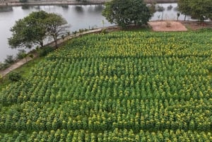 Hanoi: Cuu Ancient Village, Incense Village and Dau Pagoda