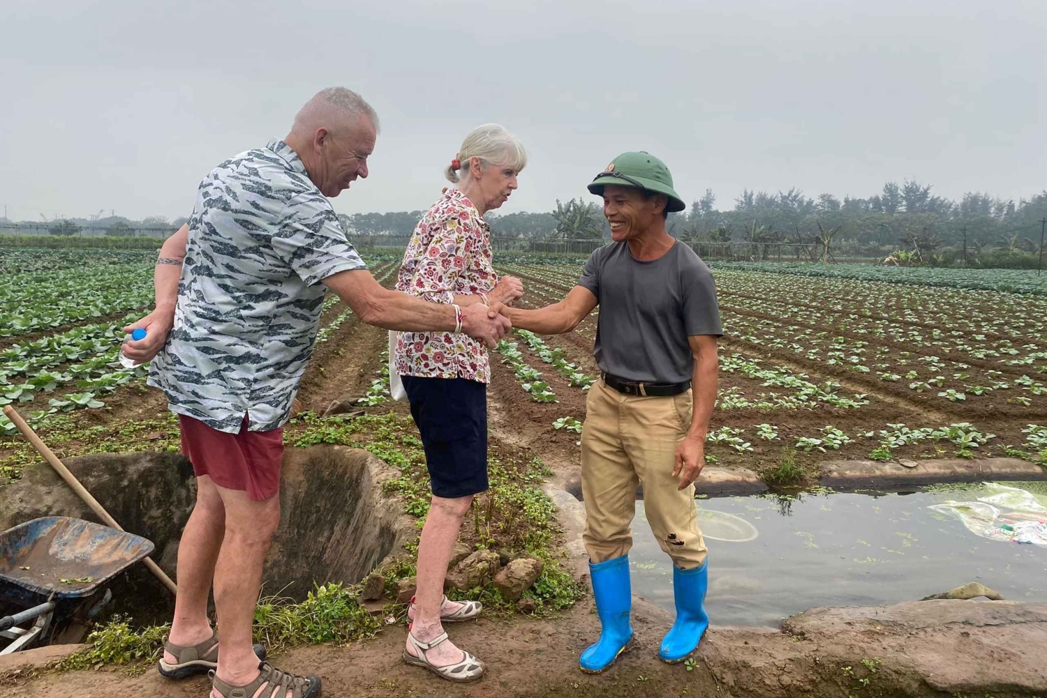 Hanoi: Dong Ho Painting Village & Dau Pagoda Tour with Lunch