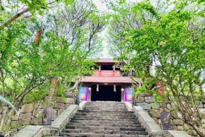 Hanoi: Dong Ho-malerbyen og Dau-pagoden med frokost