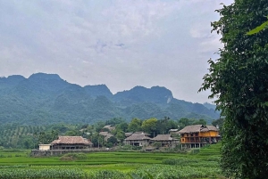 Hanoi: Duong Lam-landsbyen, matlagingskurs, cruise på den svarte elven