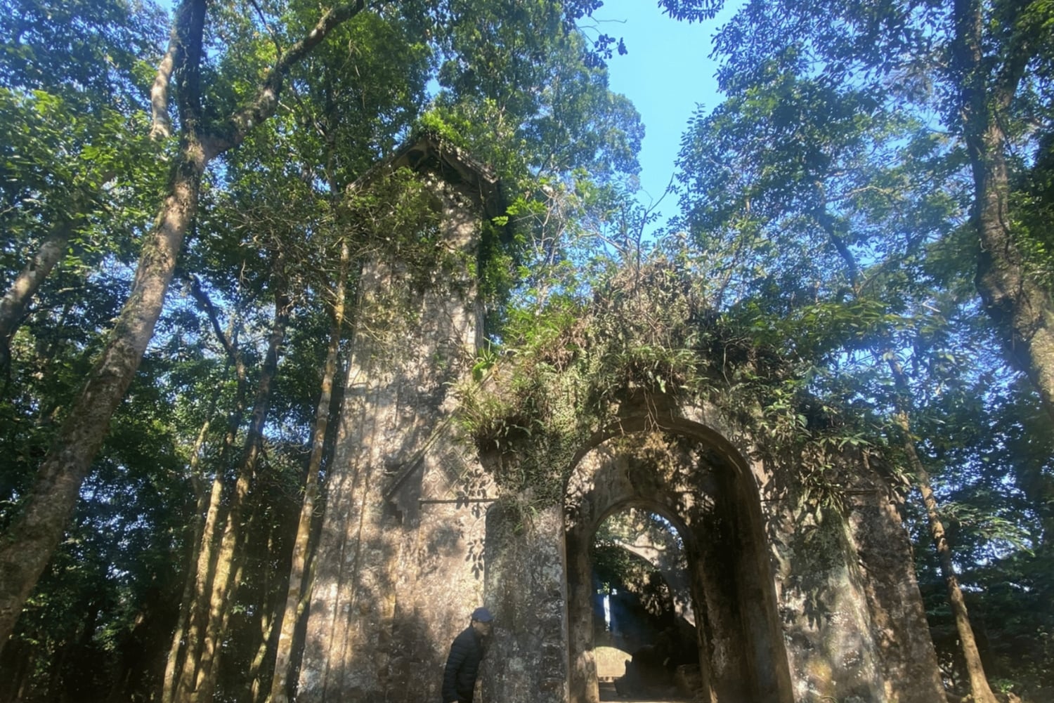 Hanoi Eco Tour: Cuda Parku Narodowego Ba Vi i plantacja herbaty