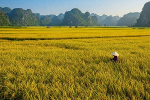 Hanoi: Utforska Tam Coc med bambubåt och besök fågelparken